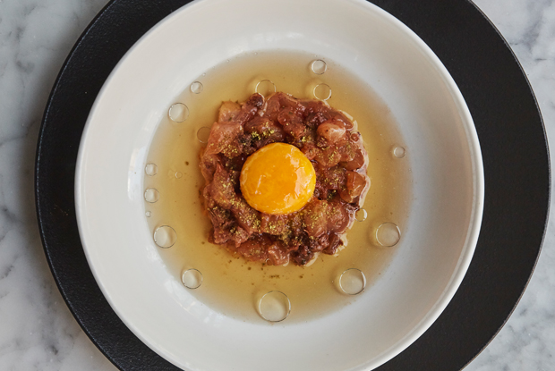 Ambrosia-LATAM-2018-DISH2